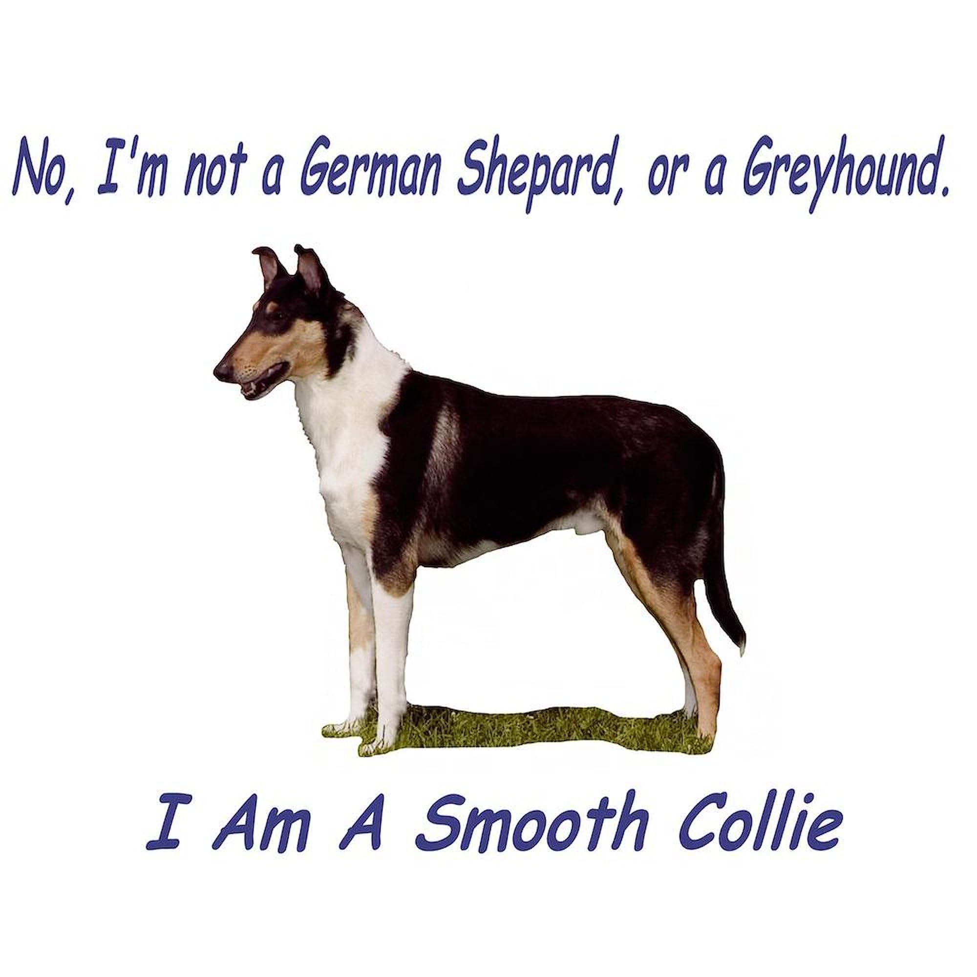 Smooth Collie Ceramic Coffee Mug 11 oz (325 ml) - Perfect for Hot & Cold Drinks, Ideal for Home, Office, or Gift Giving