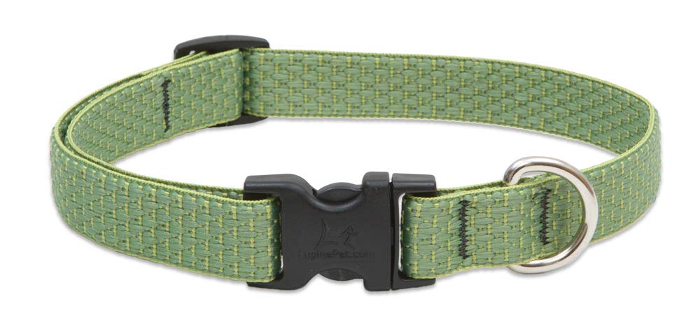Lupine ECO Collection Large Dog Collar - 3/4
