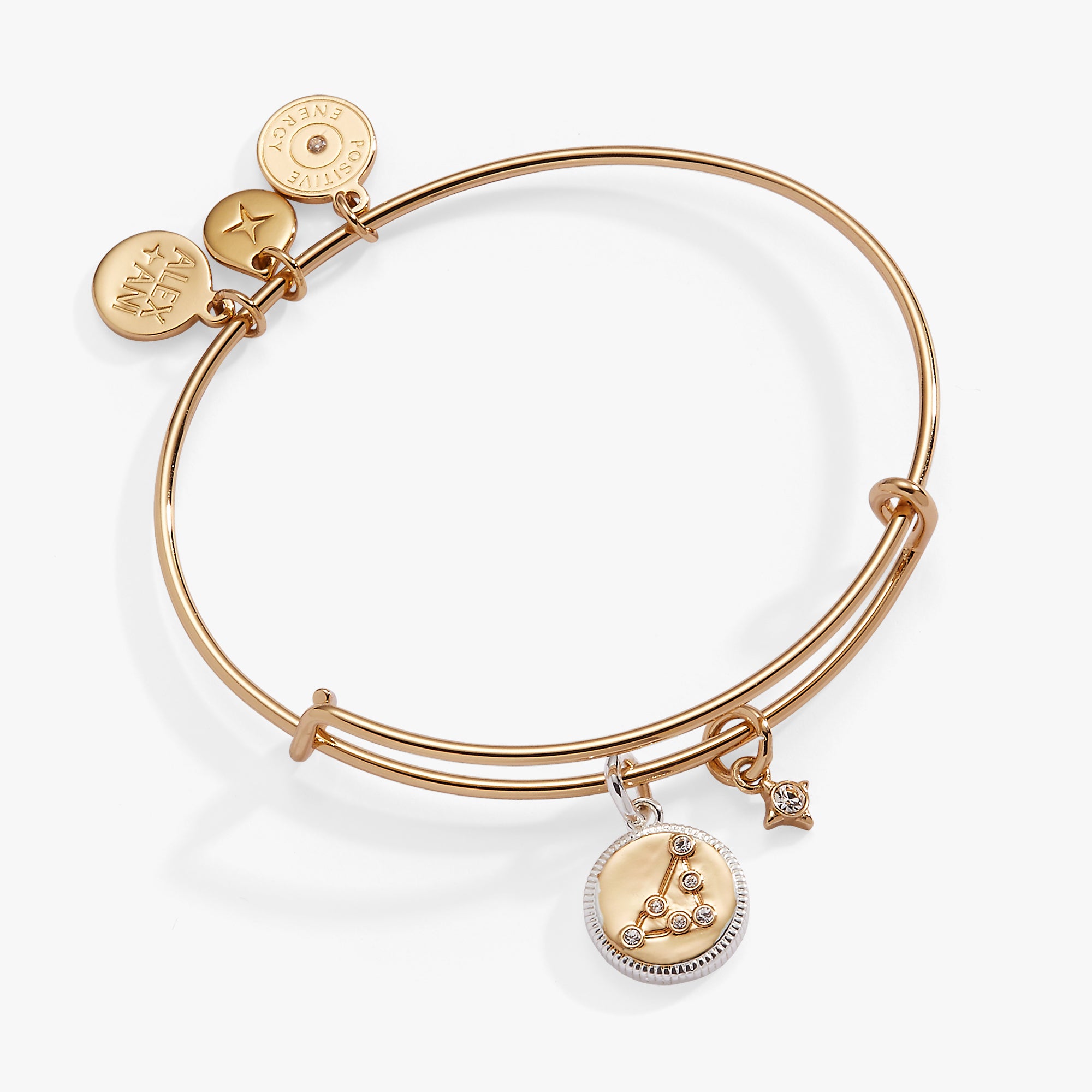 Capricorn Zodiac Charm Bangle - Sterling Silver Zodiac Bracelet for Women - Perfect for Birthday Gifts & Astrology Jewelry Collection
