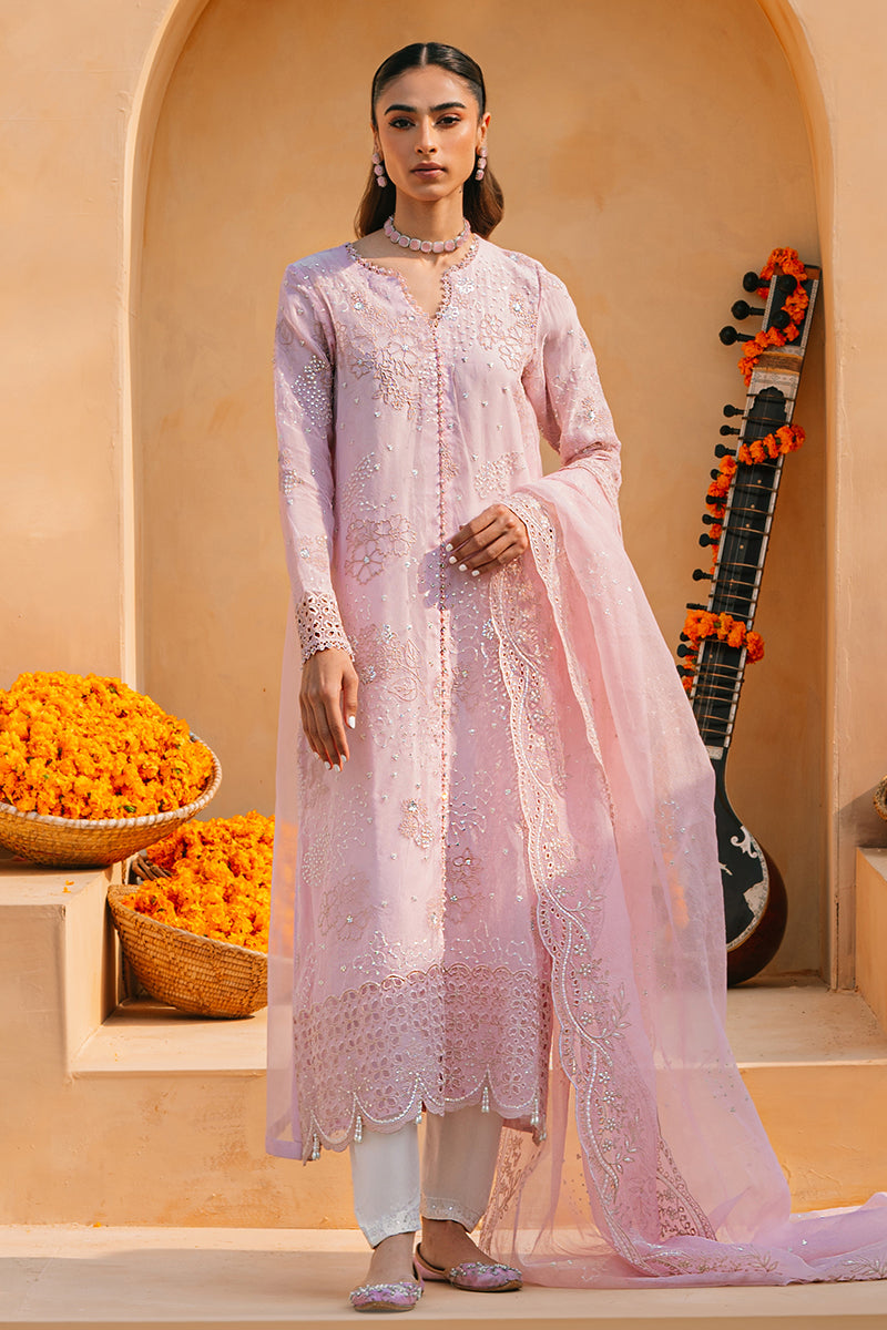 Elegant Muted Pink 2-Piece Organza Embroidered Suit Set for Women - Perfect for Weddings, Parties & Special Occasions
