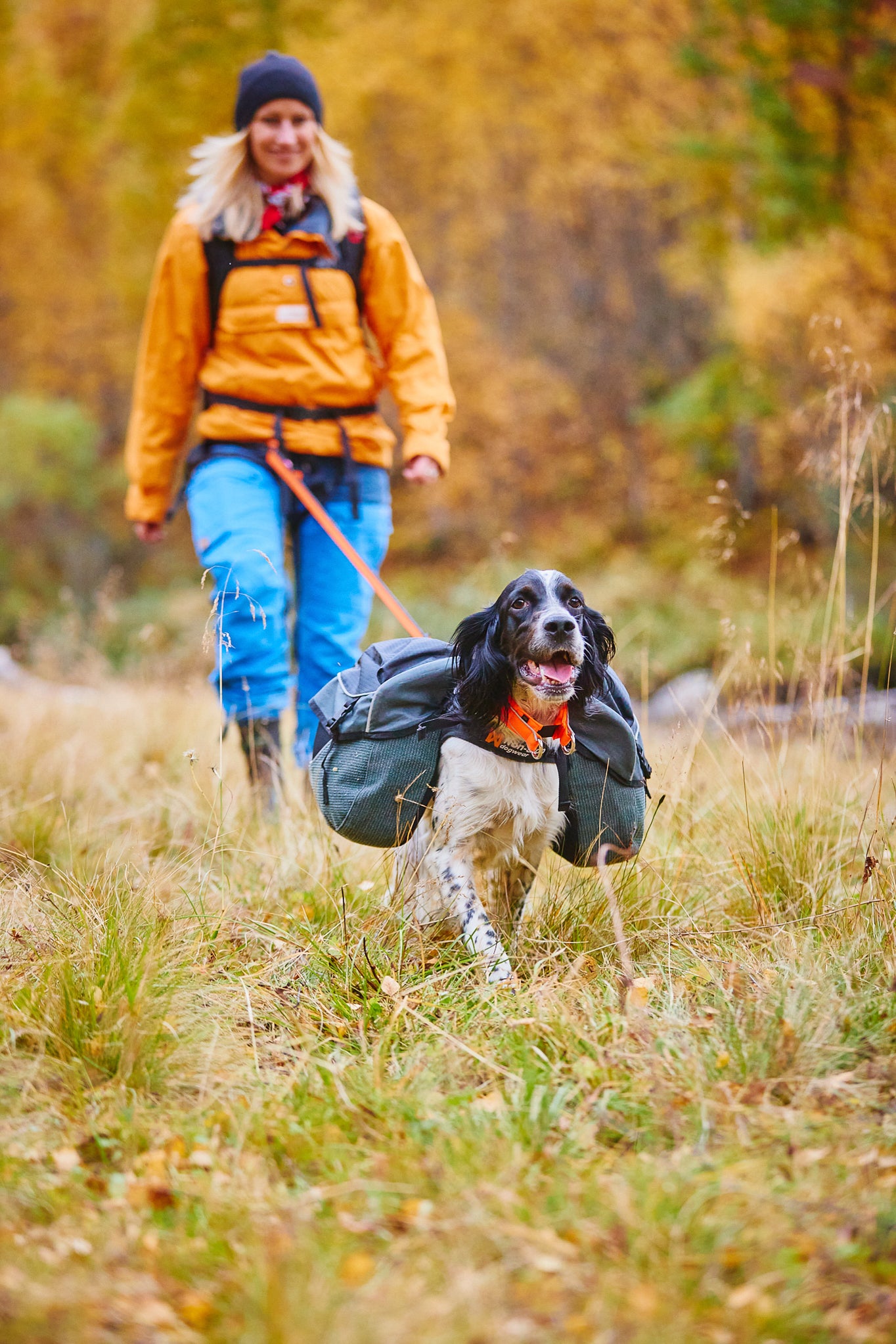 Non Stop Dog Wear: Amundsen Pack - Durable Dog Backpack for Hiking, Camping & Outdoor Adventures - Adjustable & Waterproof Canine Gear for Active Pets