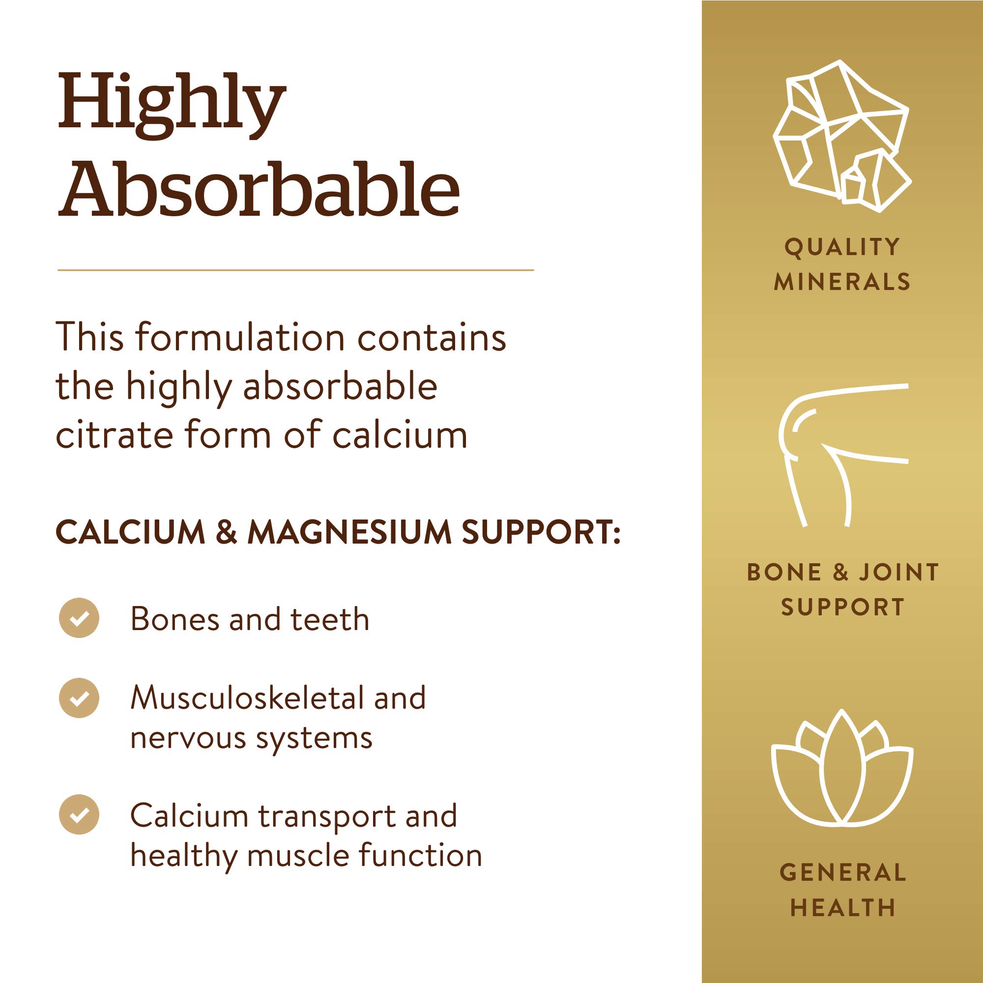 Solgar Calcium Magnesium Citrate 250 Tablets - Supports Healthy Bones, Teeth & Nervous System - Highly Absorbable Non-GMO Vegan Supplement - Gluten & Dairy Free - 50 Servings - Ideal for Bone Health & Muscle Recovery