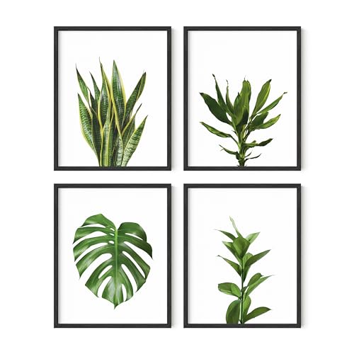 Plant Photo