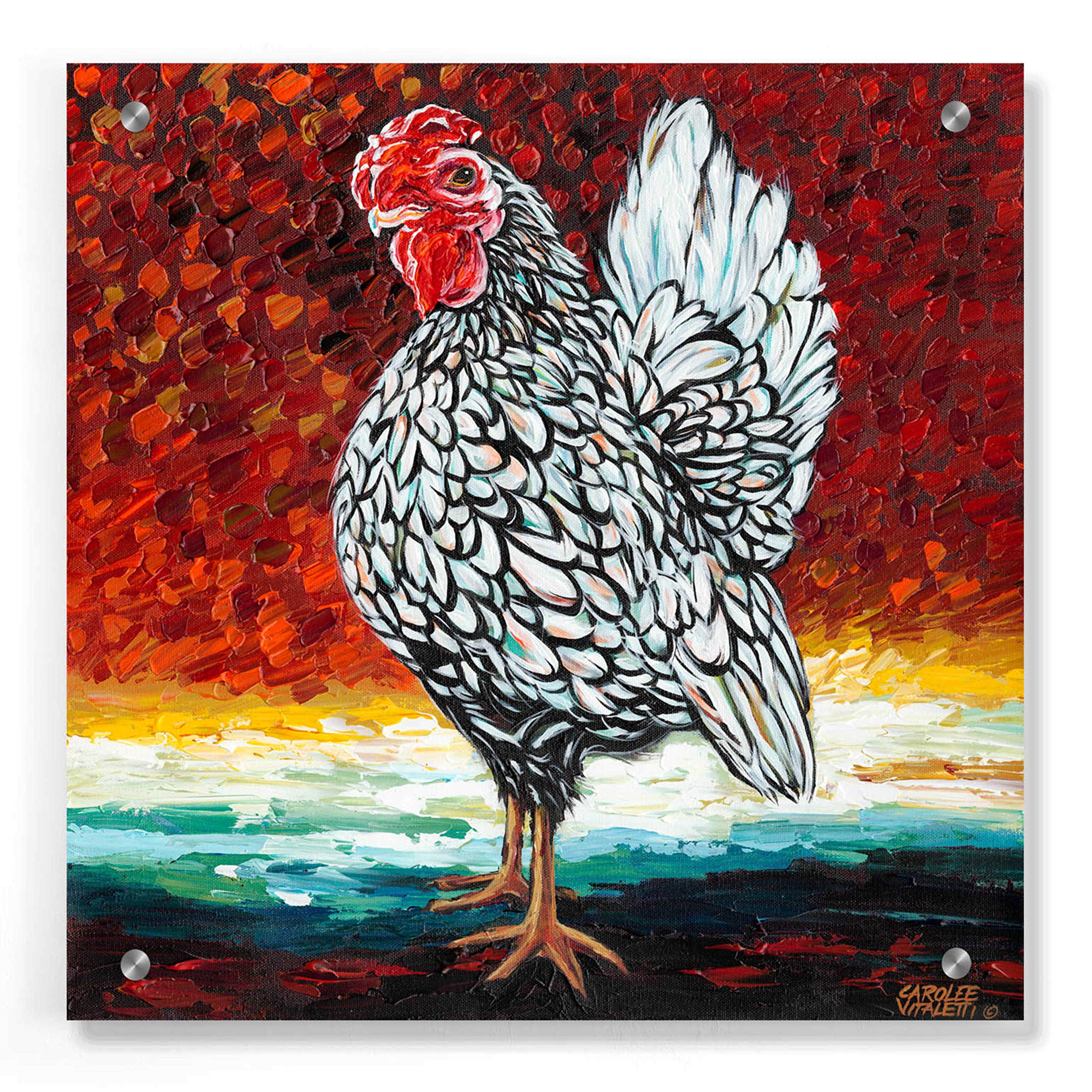 Epic Art 'Fancy Chicken II' by Carolee Vitaletti - 36x36 Inch Acrylic Glass Wall Decor - Modern Farmhouse Chicken Painting for Kitchen, Dining Room & Country Home Decor