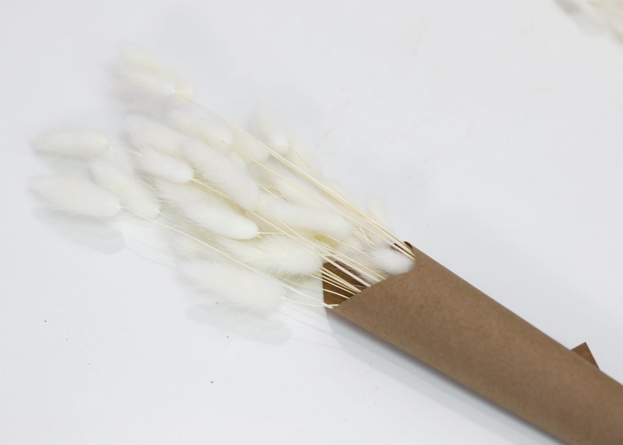 Lagurus Dried Floral Bunch - Natural Bunny Tail Grass for Home Decor, Wedding Centerpieces & DIY Crafts | Perfect for Boho, Farmhouse & Rustic Style Arrangements