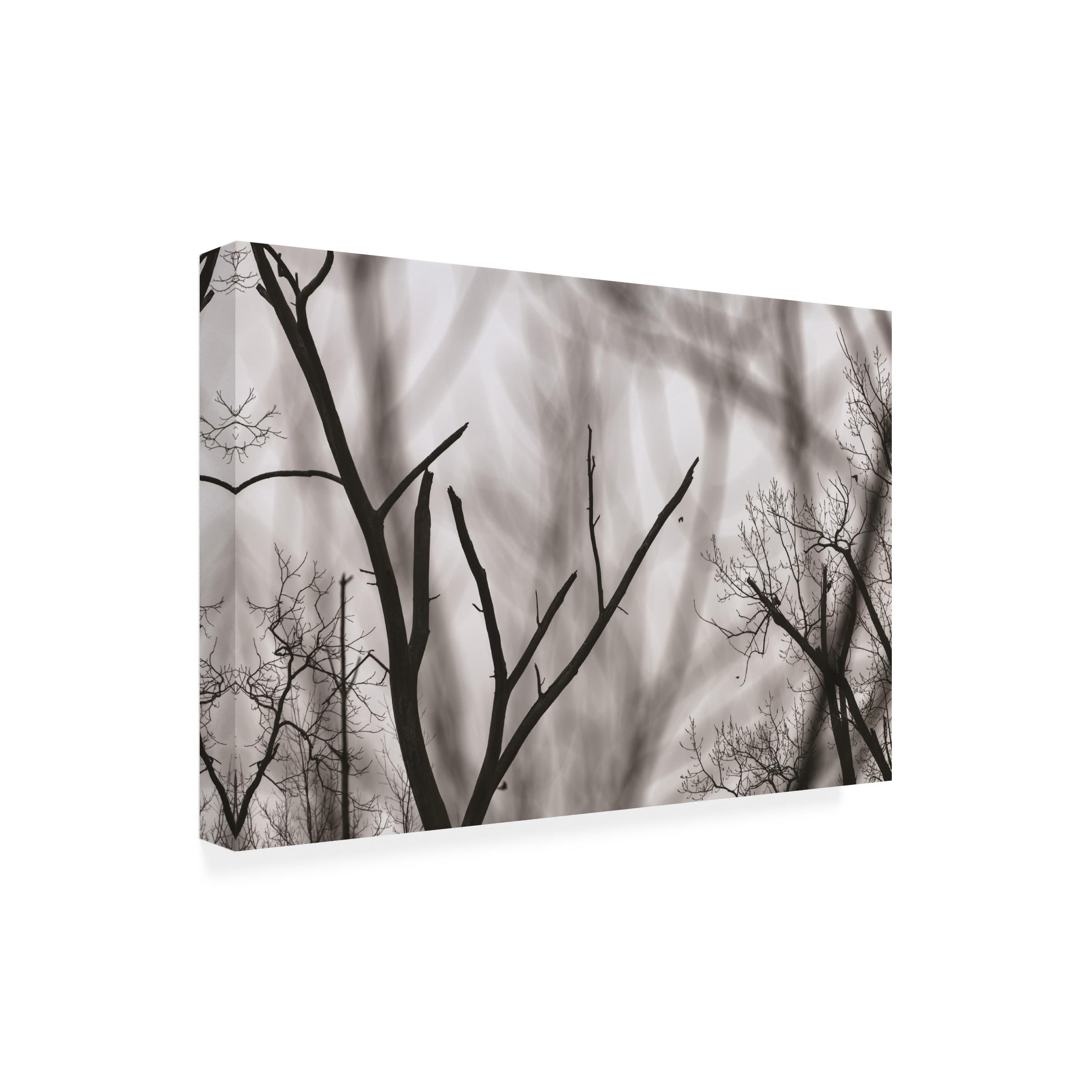 Kurt Shaffer 'Bare Tree Abstract' Photographic Canvas Wall Art - Modern Home & Office Decor for Living Room, Bedroom, or Gallery Display