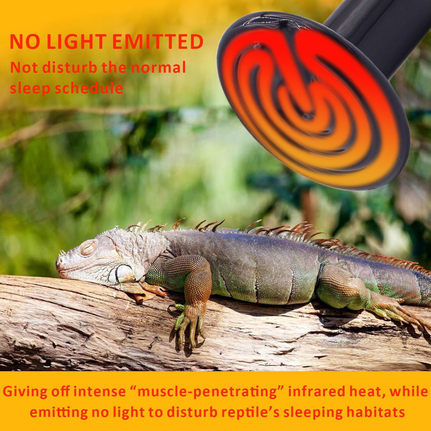 Aiicioo 100W Ceramic Heat Emitter Bulb - No Light Reptile Heat Lamp for Lizards, Snakes, Turtles & Chicken Coops - Safe & Durable 110V Black Heat Bulb (2 Pack) - Perfect for Terrariums, Aquariums & Outdoor Pet Houses