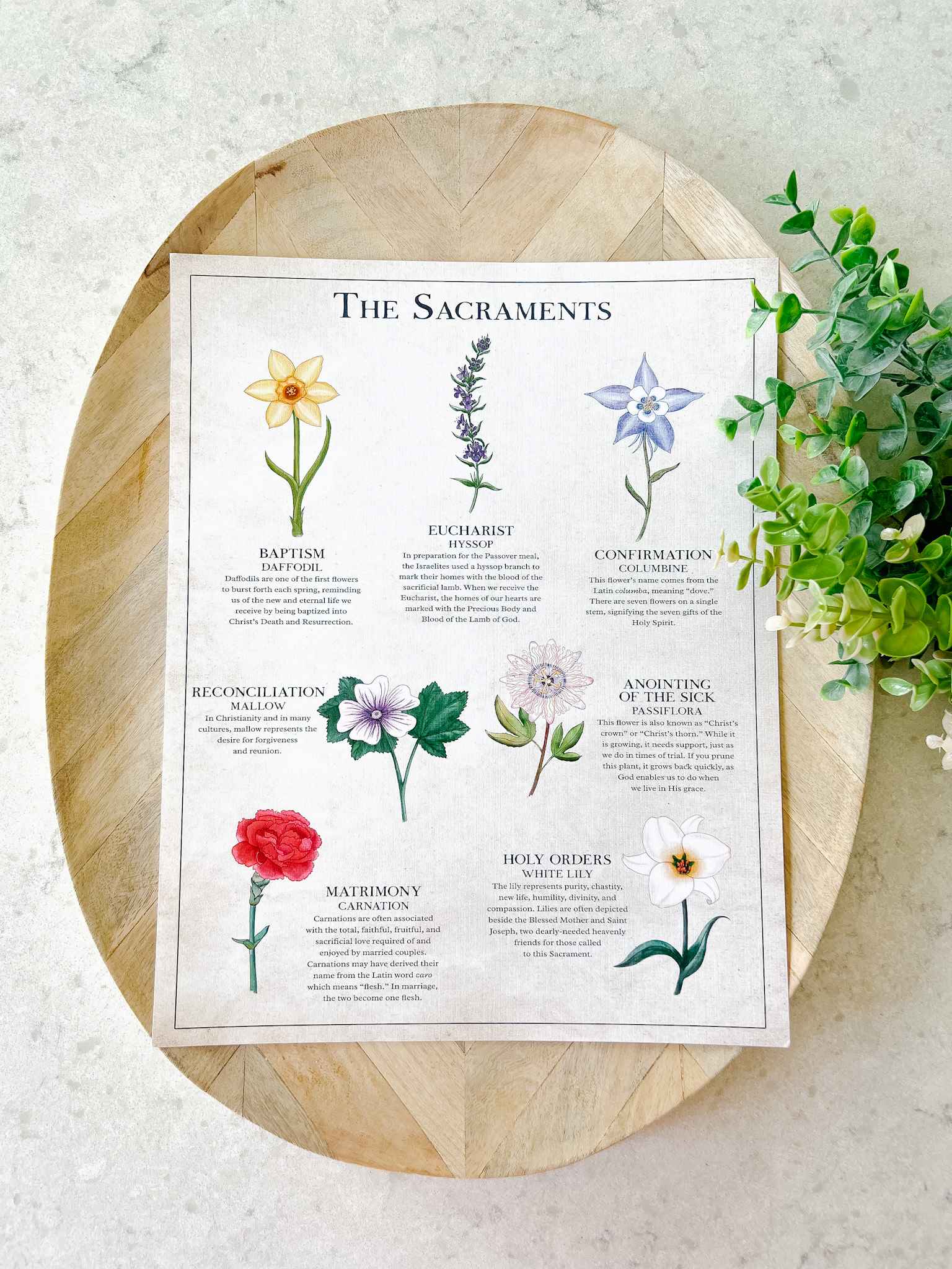 The Seven Sacraments Catholic Religious Art Print - Perfect for Home Decor, Church Display & Gift Giving