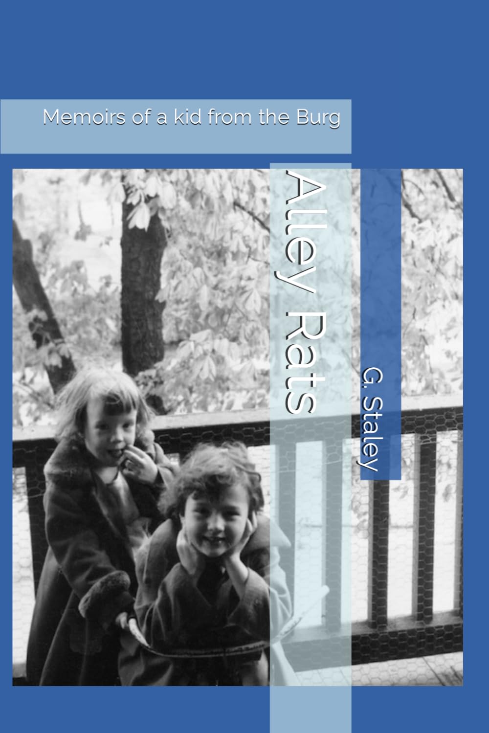 Alley Rats: Memoirs of a Kid from the Burg - A Nostalgic Coming-of-Age Story | Perfect for Book Clubs, Urban Literature Fans & Those Who Love 80s Childhood Memories