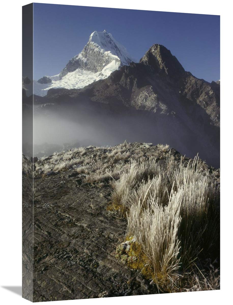 16x24 Inch Frozen Grasses & Nevado Chopicalqui Peak Art Print - Cordillera Blanca Peru Landscape Wall Decor by Grant Dixon | Perfect for Living Room, Bedroom or Office