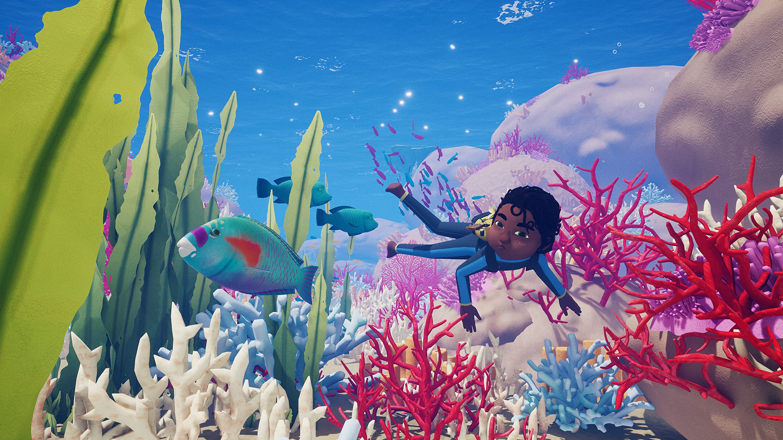 Tchia, Oléti Edition - Nintendo Switch Game | Adventure RPG for Kids & Adults | Perfect for Family Game Nights & Travel Entertainment