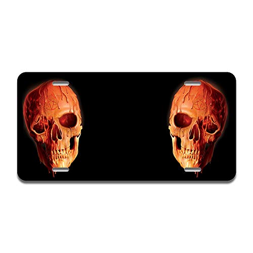 Wax Skull