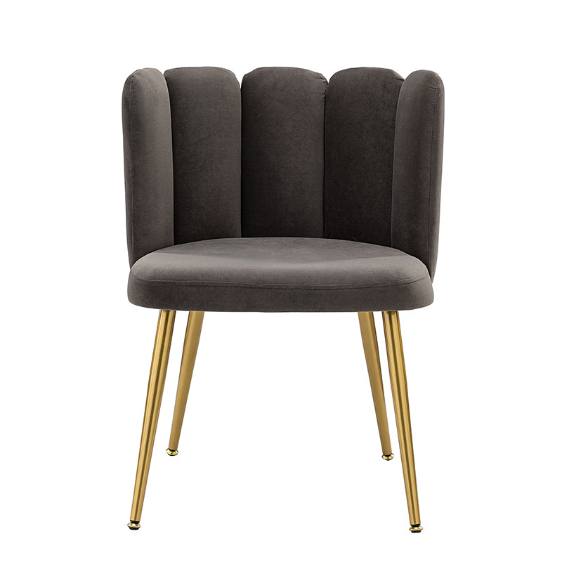 Elodia Side Chair - Modern Accent Chair for Dining Room, Living Room & Office - Sturdy Wooden Frame with Upholstered Seat - Perfect for Home Decor & Small Spaces