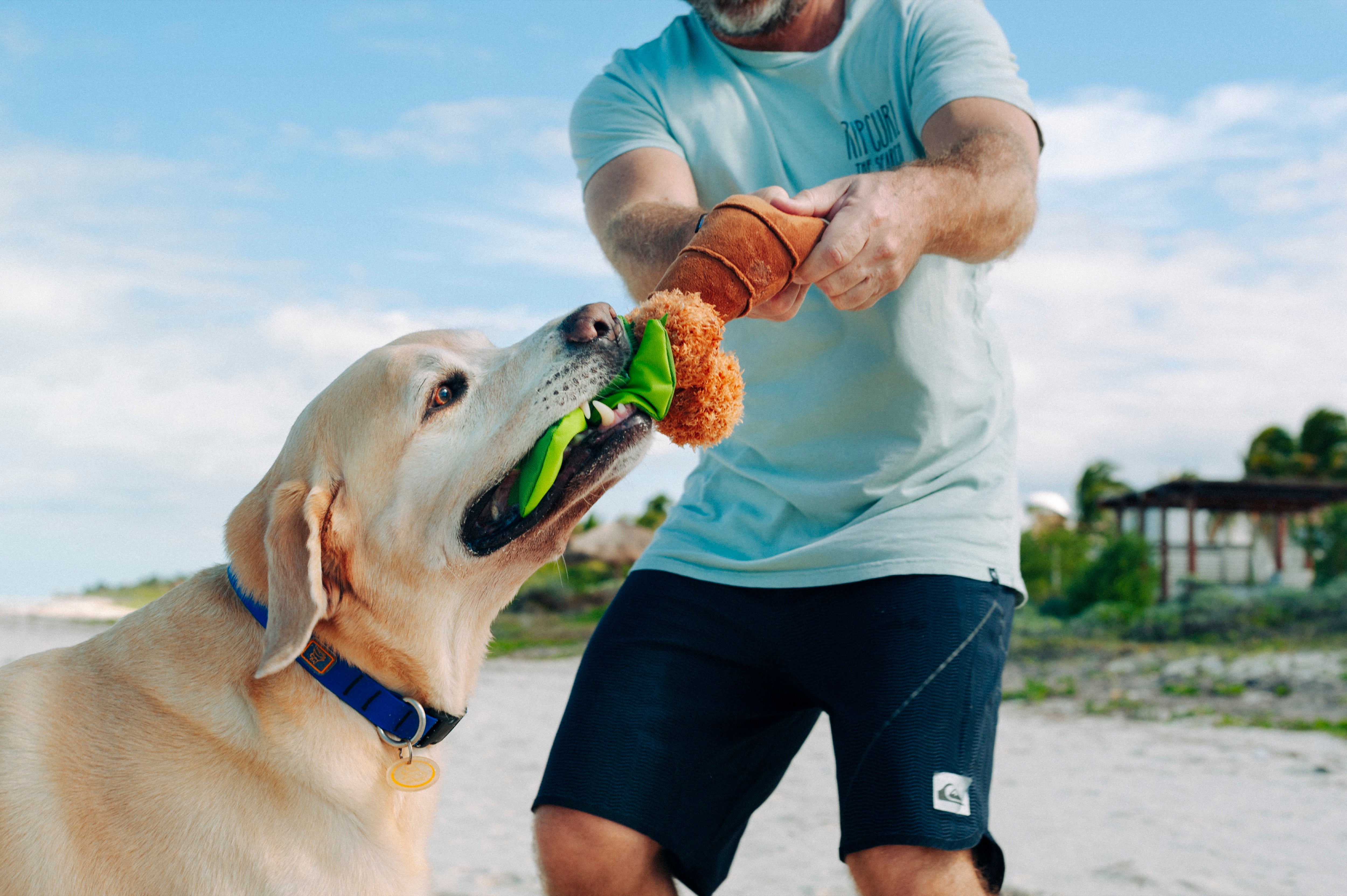 Tropical Paradise™ Dog Plush Toy - La Palma Soft Chew Toy for Dogs | Durable & Safe Pet Play | Perfect for Indoor & Outdoor Playtime