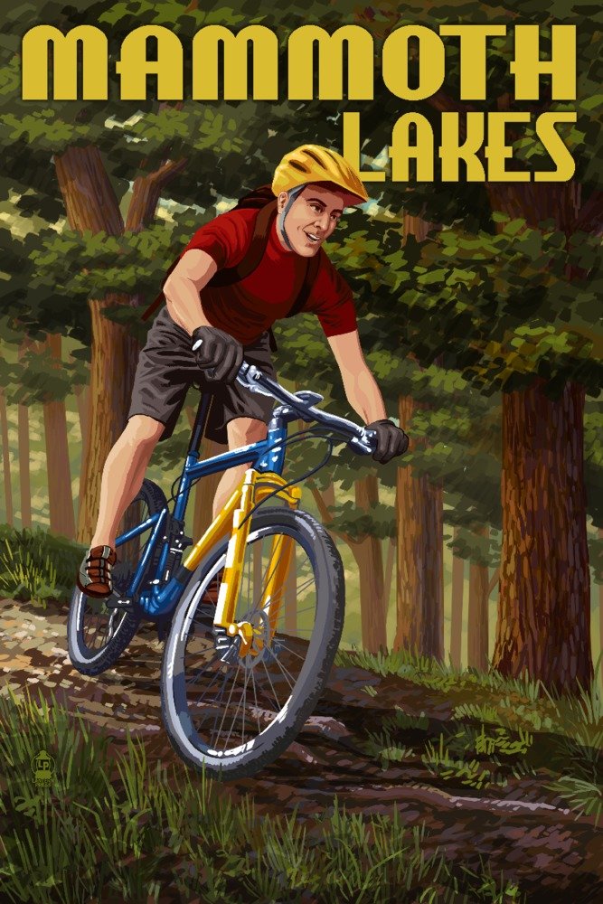 24x36 Signed Mammoth Lakes California Mountain Biker in Trees Art Print - Premium Wall Decor Poster for Home, Office & Cabin Decor | Nature Landscape Photography Gift