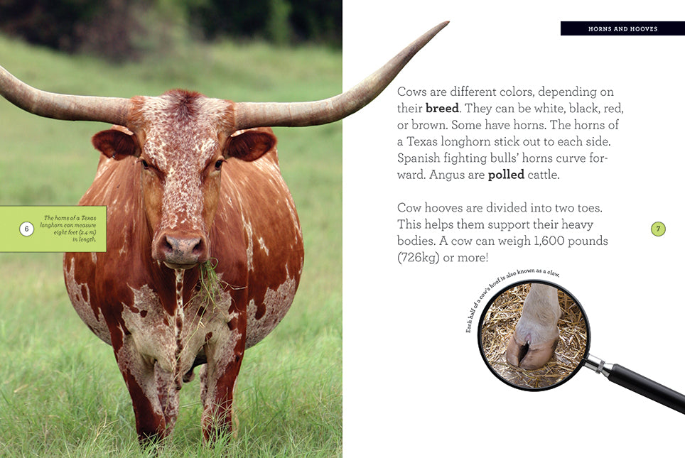 Cows Book 978-1-64026-230-0 - Educational Farm Animal Guide for Kids & Adults | Perfect for Homeschooling, Classroom Learning & Farm Enthusiasts