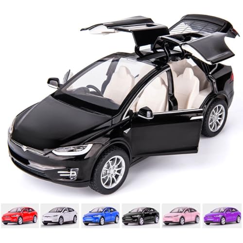 1/24 Model X -Black