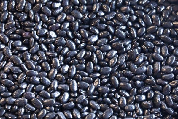 Organic Rancho Gordo Chiapas Black Beans 1 lb | Non-GMO, Gluten-Free | Perfect for Soups, Salads & Mexican Dishes