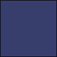 Logo Speedo Navy
