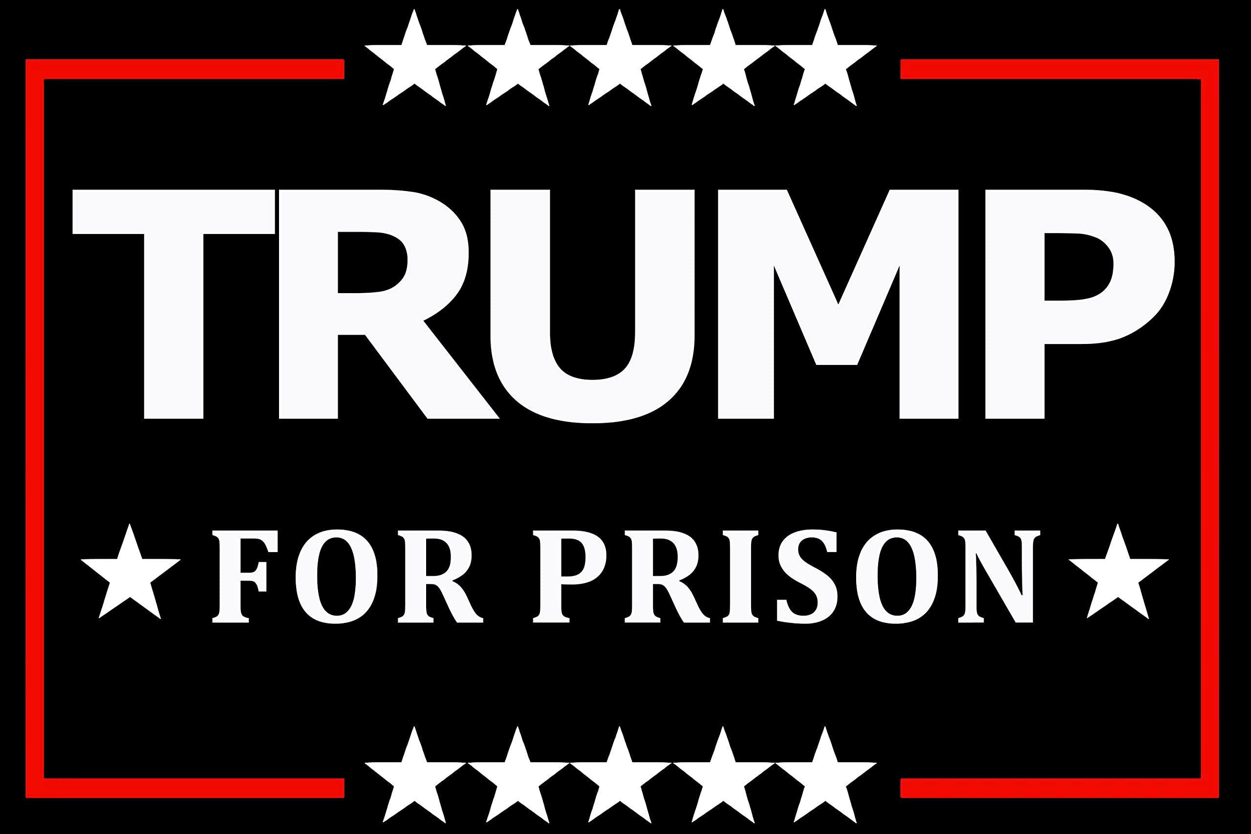 10 Pack Anti Trump Stickers - Waterproof Political Decals for Laptop, Bumper, Window & Car - Funny Political Protest Stickers for Conservatives & Liberals - Great for Campaigns, Protests & Political Events