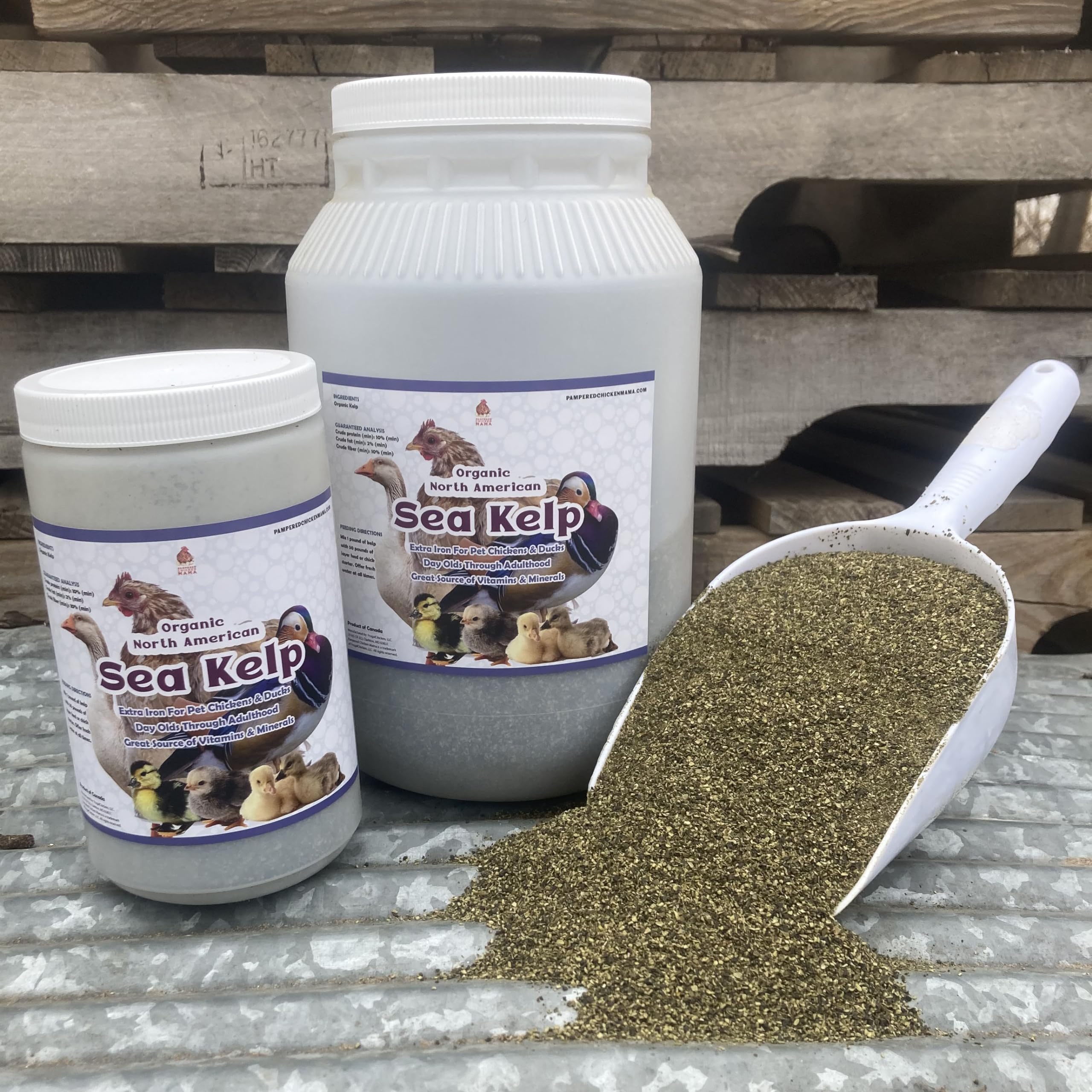 Organic Kelp for Chickens & Ducks - 5lb Natural Poultry Feed Supplement with Vitamins & Minerals | Healthy Egg Production Boost | Perfect for Backyard Flocks & Free-Range Birds | Farm & Homestead Use
