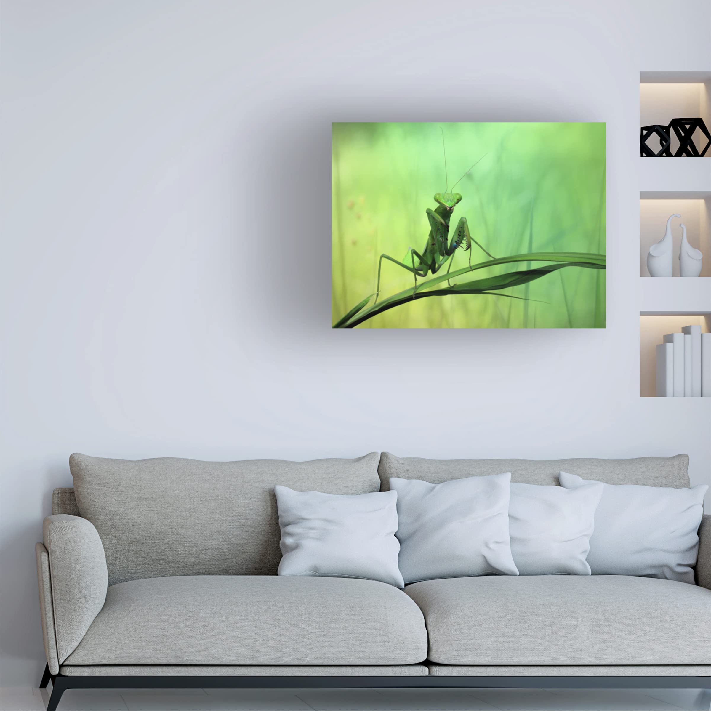Jimmy Hoffman 'Hi There' Canvas Art Print - Modern Wall Decor for Living Room, Bedroom & Office | Trademark Fine Art Collection
