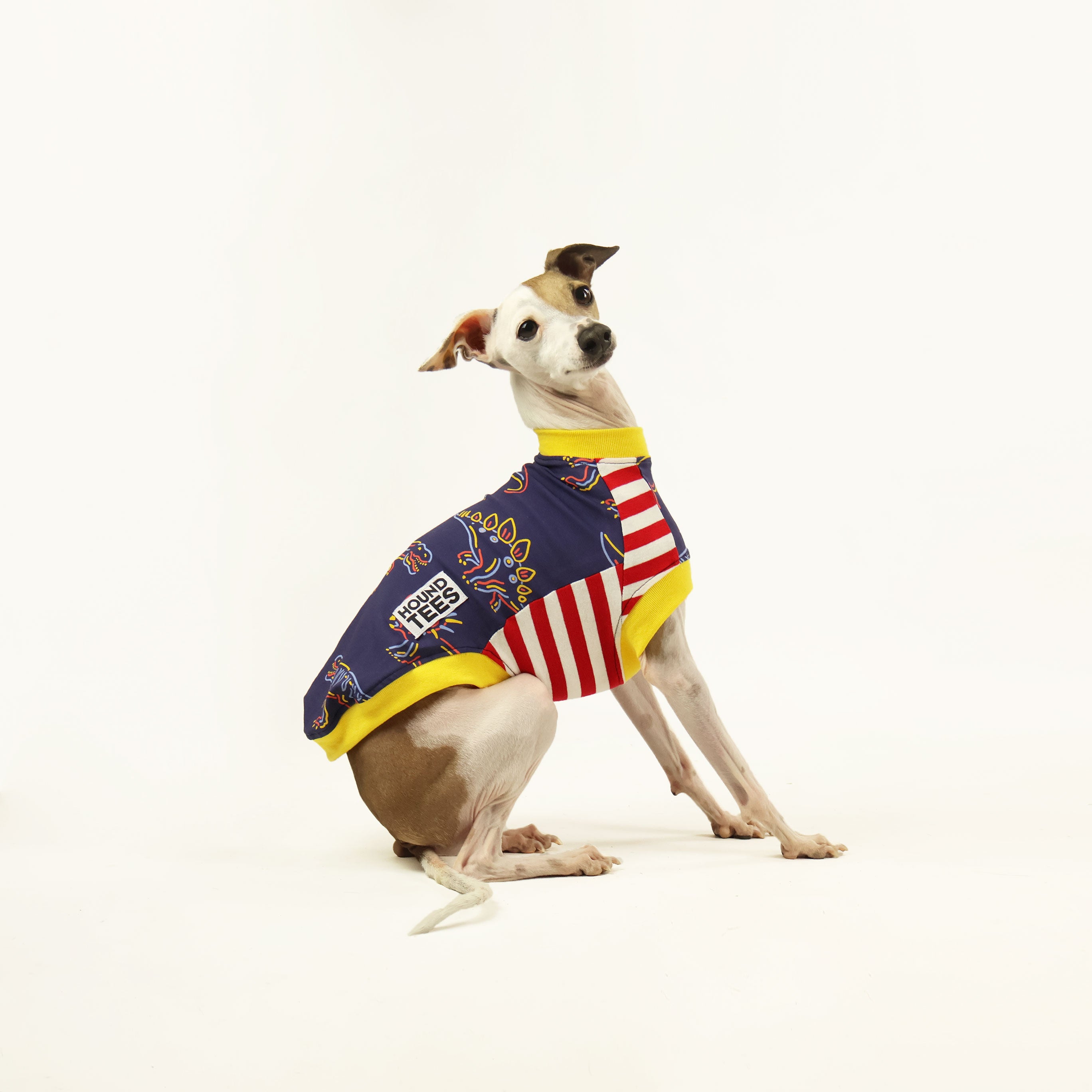 Rawr Iggy Sleeveless Hound Graphic Tee - Trendy Dog Lover T-Shirt for Women & Men - Perfect for Summer, Concerts & Casual Outings