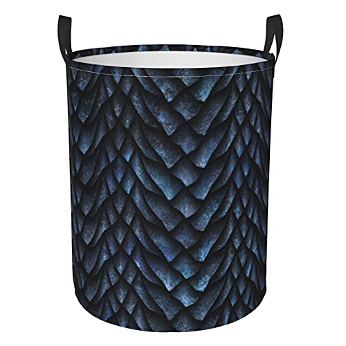 Gray Dragon Scales