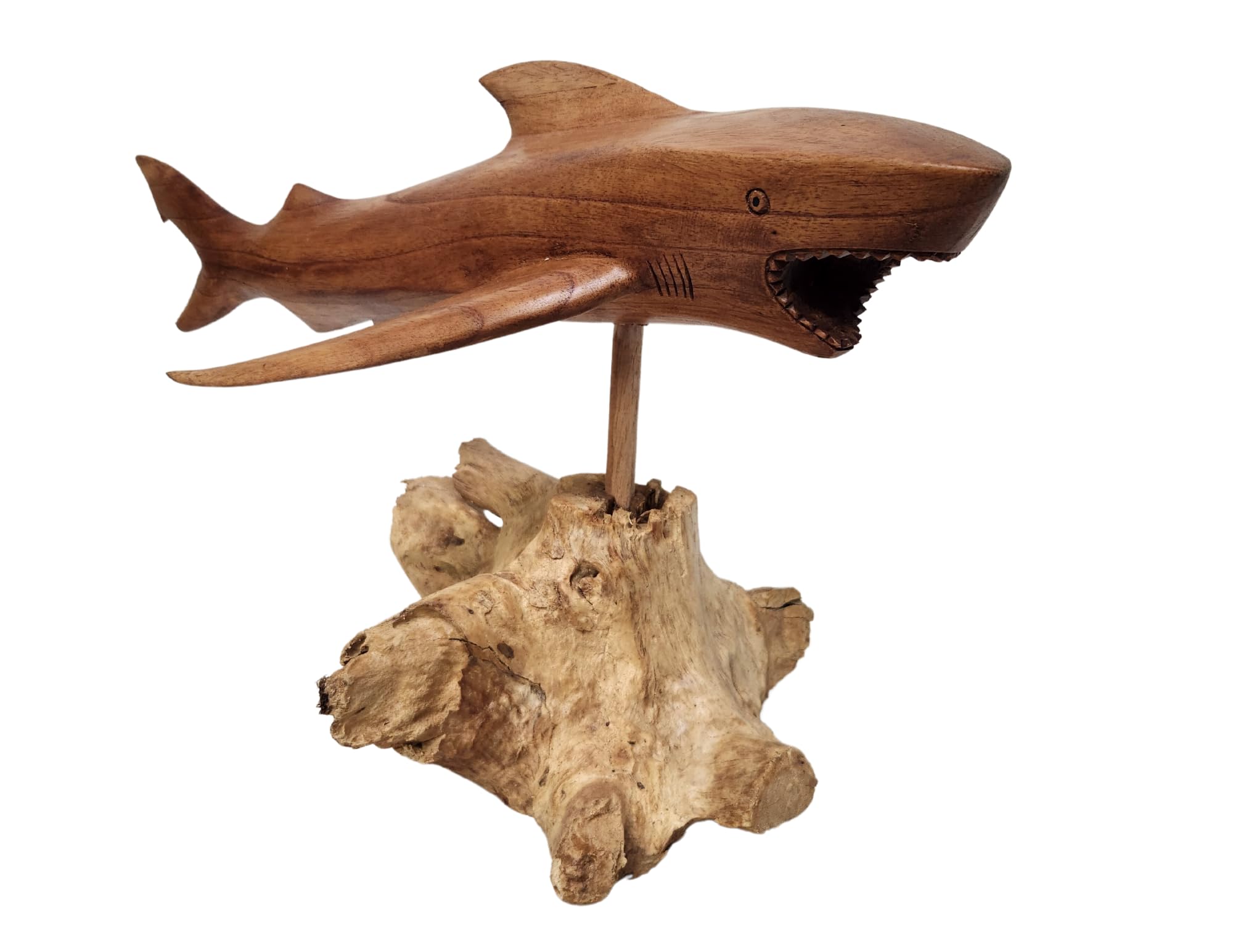 Hand Carved Wooden Shark Sculpture - MACO Shark on Coral Stand - Unique Nautical Ocean Decor for Home, Office, or Beach House - Perfect Gift for Shark Lovers & Marine Theme Enthusiasts