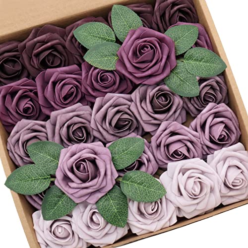 Shades of Plum