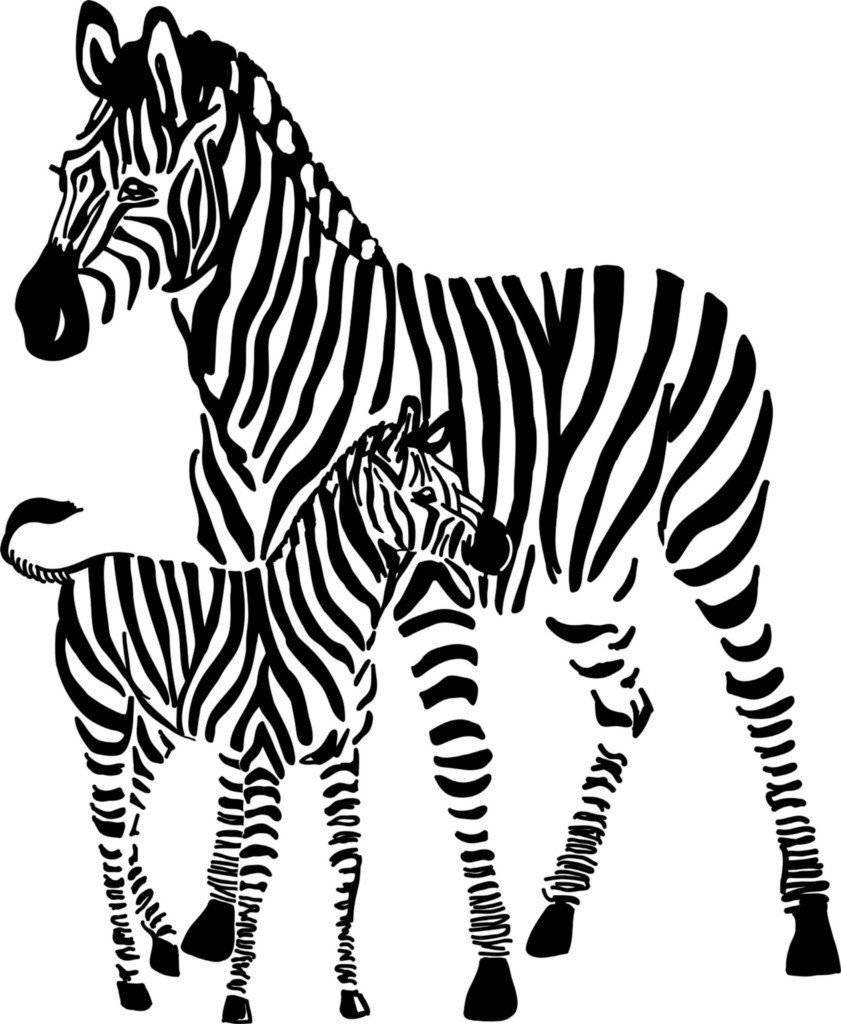 Zebra Animal Wall Decals - Vinyl Quote Stickers for Home Decor (26x26 inches) - Perfect for Nursery, Kids Room & Living Room Wall Art