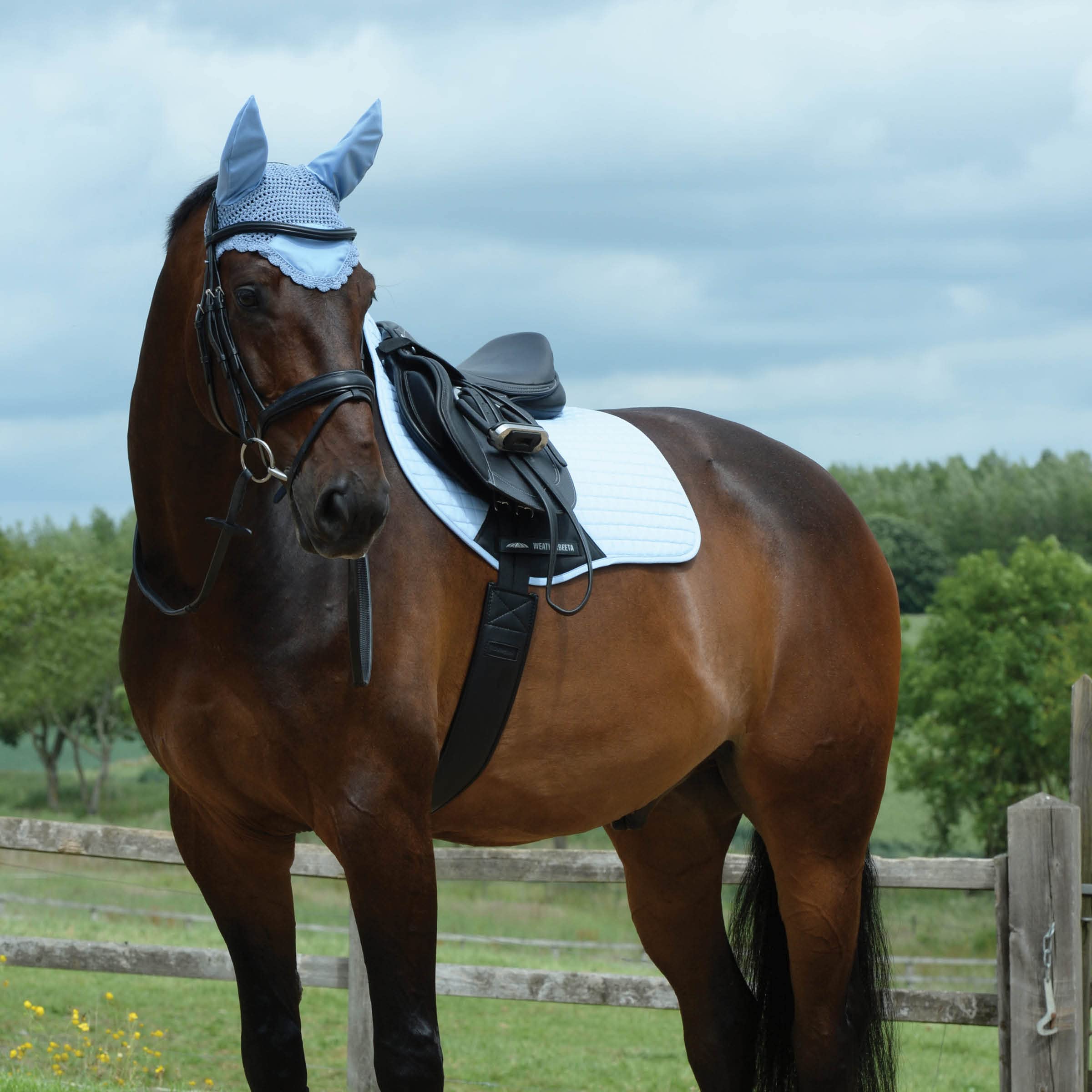 WeatherBeeta Prime All Purpose Saddle Pad for Horses - Breathable & Shock Absorbing Riding Pad - Perfect for Dressage, Jumping & Trail Riding