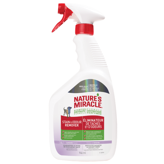 Nature's Miracle Lavender Scented Stain & Odor Remover for Pets - Eliminates Tough Stains & Odors from Carpets, Floors & Furniture | Safe for Dogs & Cats | Fresh Lavender Scent for Home Use