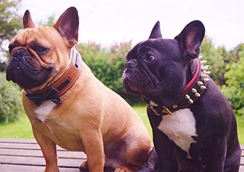 Premium Leather Bowtie Dog Collar - 2 Inch Wide Soft Padded Handmade in Europe - Stylish Pet Accessory for Weddings, Parties & Special Occasions