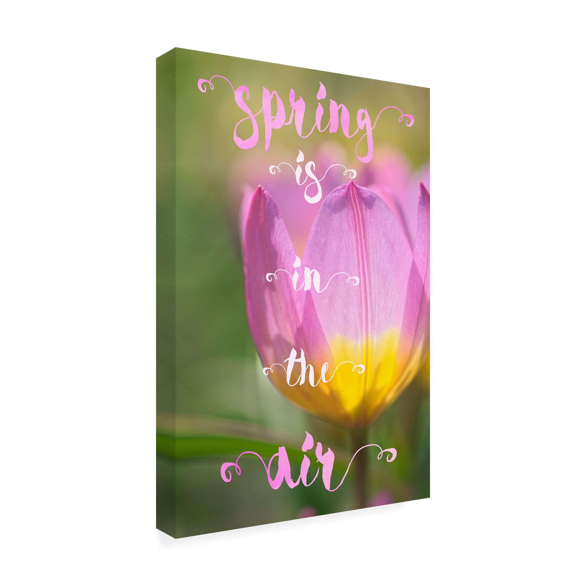 Trademark Fine Art 'Spring is in the Air' Canvas Wall Art by Cora Niele - Perfect for Living Room, Bedroom & Office Decor