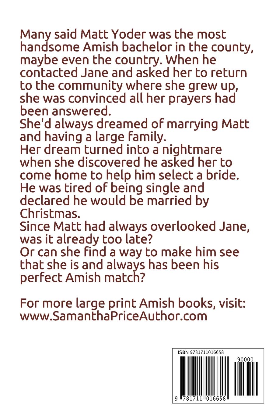 Amish Christmas Bride LARGE PRINT: An Inspirational Amish Romance Novel for the Holidays | Heartwarming Christmas Story | Perfect for Book Clubs & Cozy Winter Reading