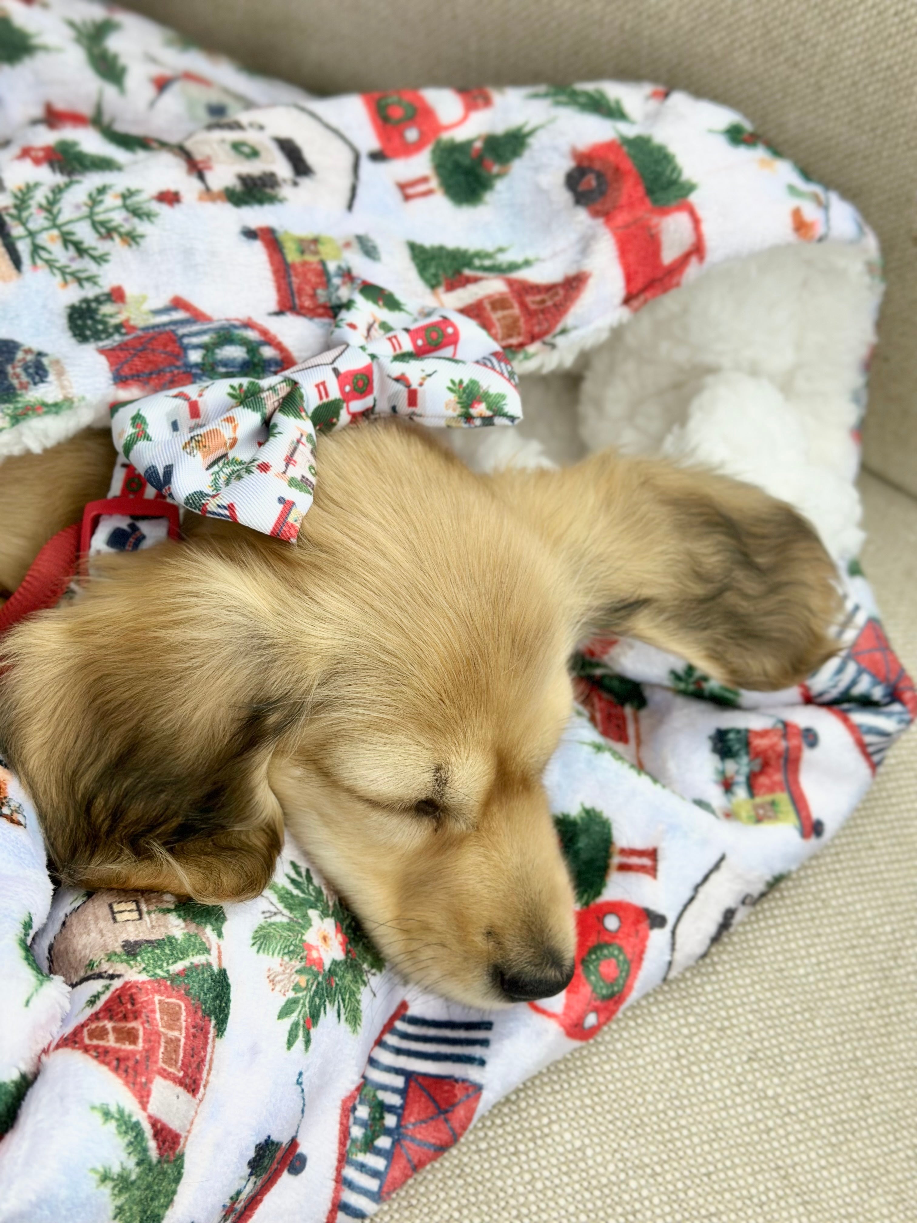 Cozy Christmas Luxe Blanket - Ultra Soft & Warm Fleece Throw for Holiday Decor, Gifts & Winter Snuggling