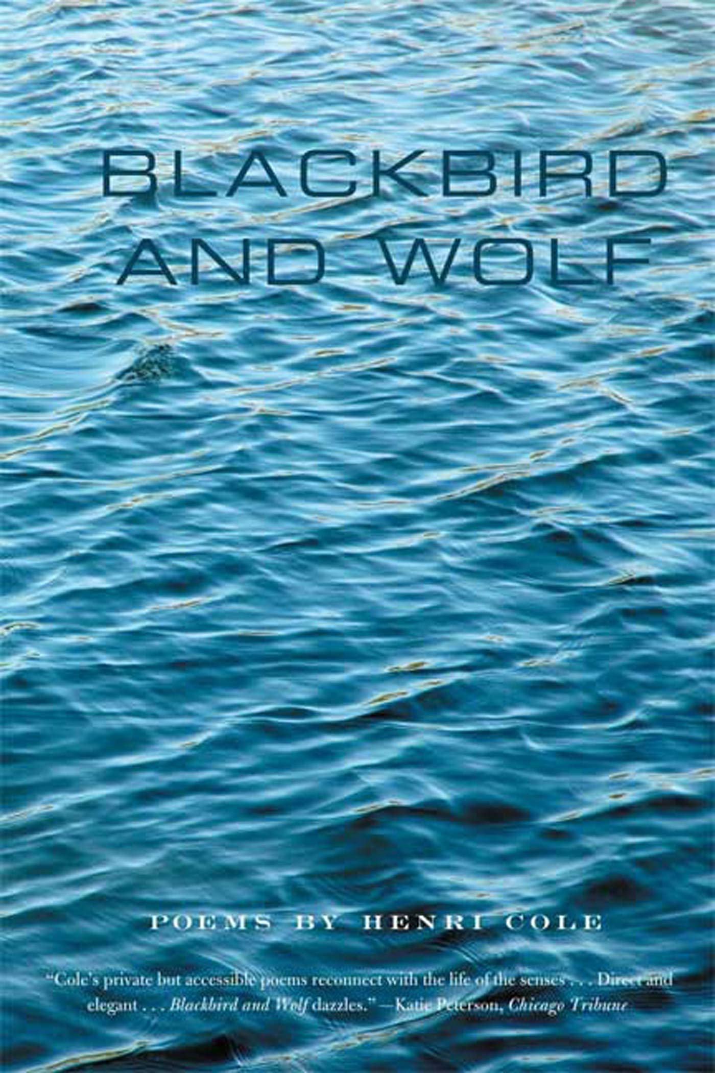 Blackbird and Wolf: Poems - A Collection of Contemporary Poetry for Book Lovers, Gifts & Literary Enthusiasts | Perfect for Reading, Study & Relaxation
