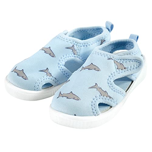Blue Shark