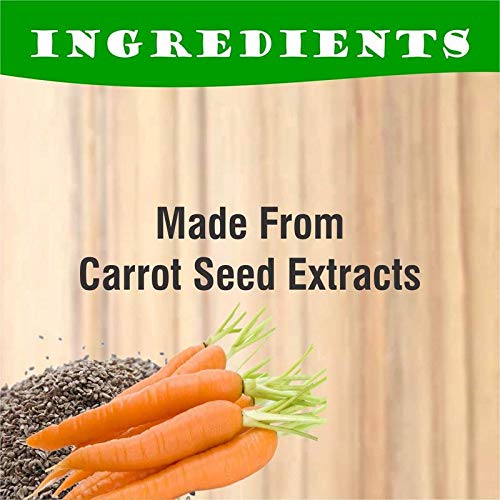 100% Pure & Natural VIRTUAL Carrot Seed Essential Oil - 100ml for Face, Skin & Hair Care | Hydrating, Anti-Aging & Scalp Treatment | Perfect for Aromatherapy, Massage & DIY Beauty Products