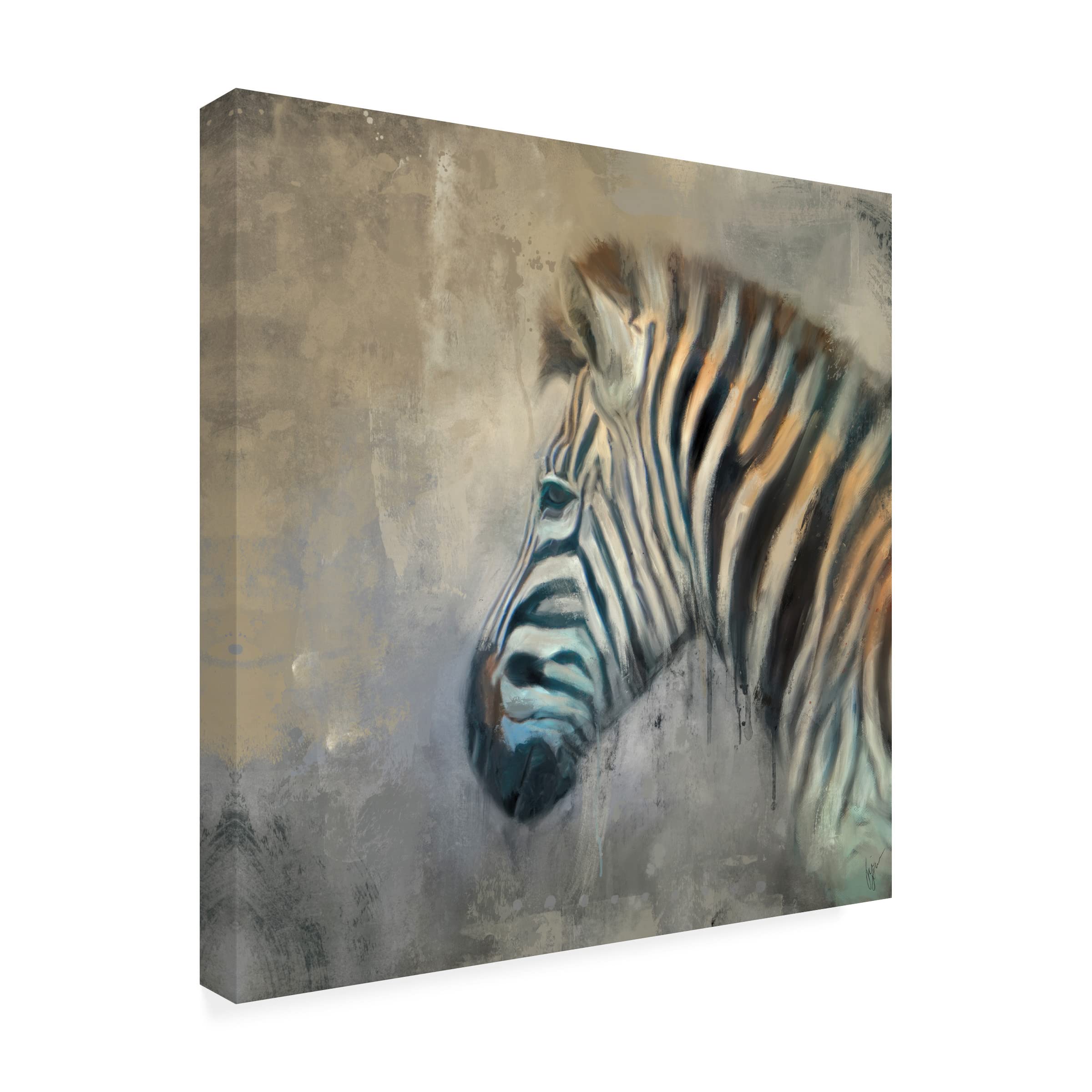 Trademark Fine Art 'Pondering Life' by Jai Johnson - 35x35 Inch Canvas Wall Art - Modern Home Decor for Living Room, Bedroom & Office