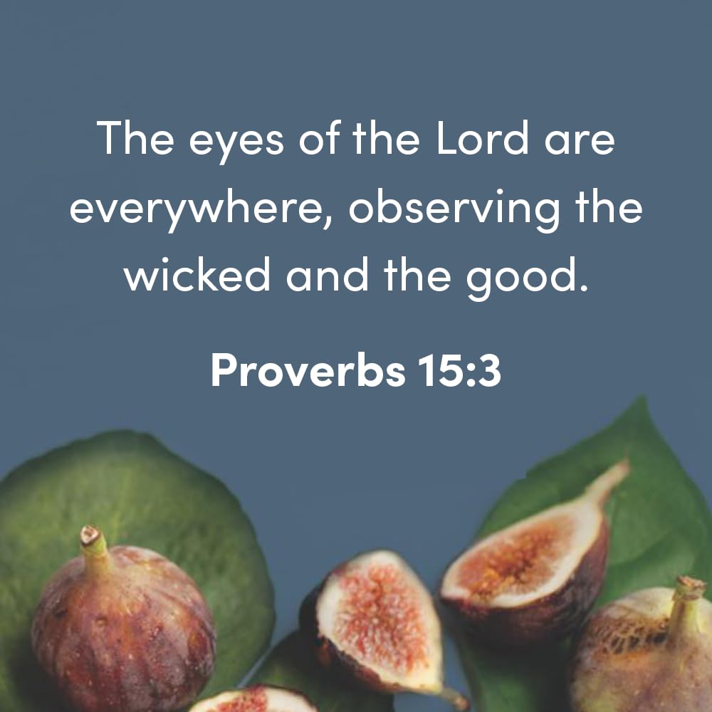 Amos - Bible Study Book with Video Access: Discover the Good Life | Christian Devotional Guide for Small Groups & Personal Reflection