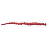 Berkley Gulp Sandworm Fishing Lures - Saltwater & Freshwater Bait for Bass, Trout, and Walleye - Perfect for Surf Fishing, Pier Fishing, and Kayak Angling