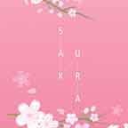 Cherry Blossom Pink