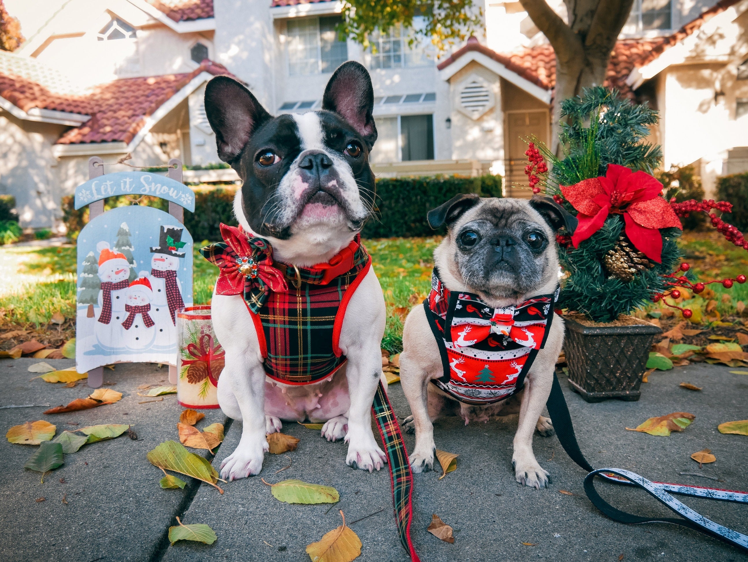 Christmas Stripes Dog Harness - Adjustable Reflective Pet Vest for Small Medium Large Dogs - Perfect for Holiday Walks, Festive Outings & Safety at Night