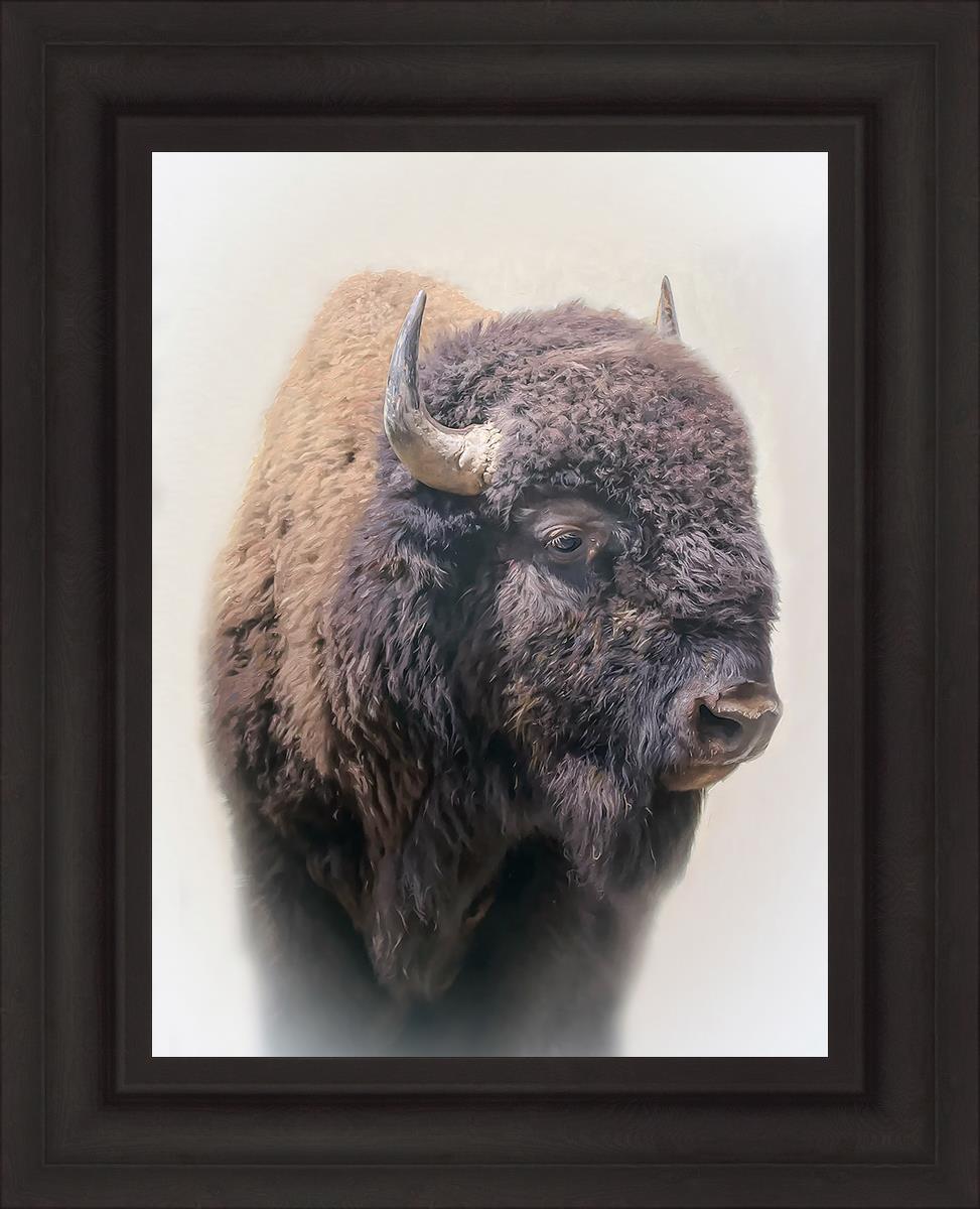 Bison By Matthew Grant | Premium Bison Meat & Jerky | High-Protein Snacks for Camping, Hiking & Outdoor Adventures