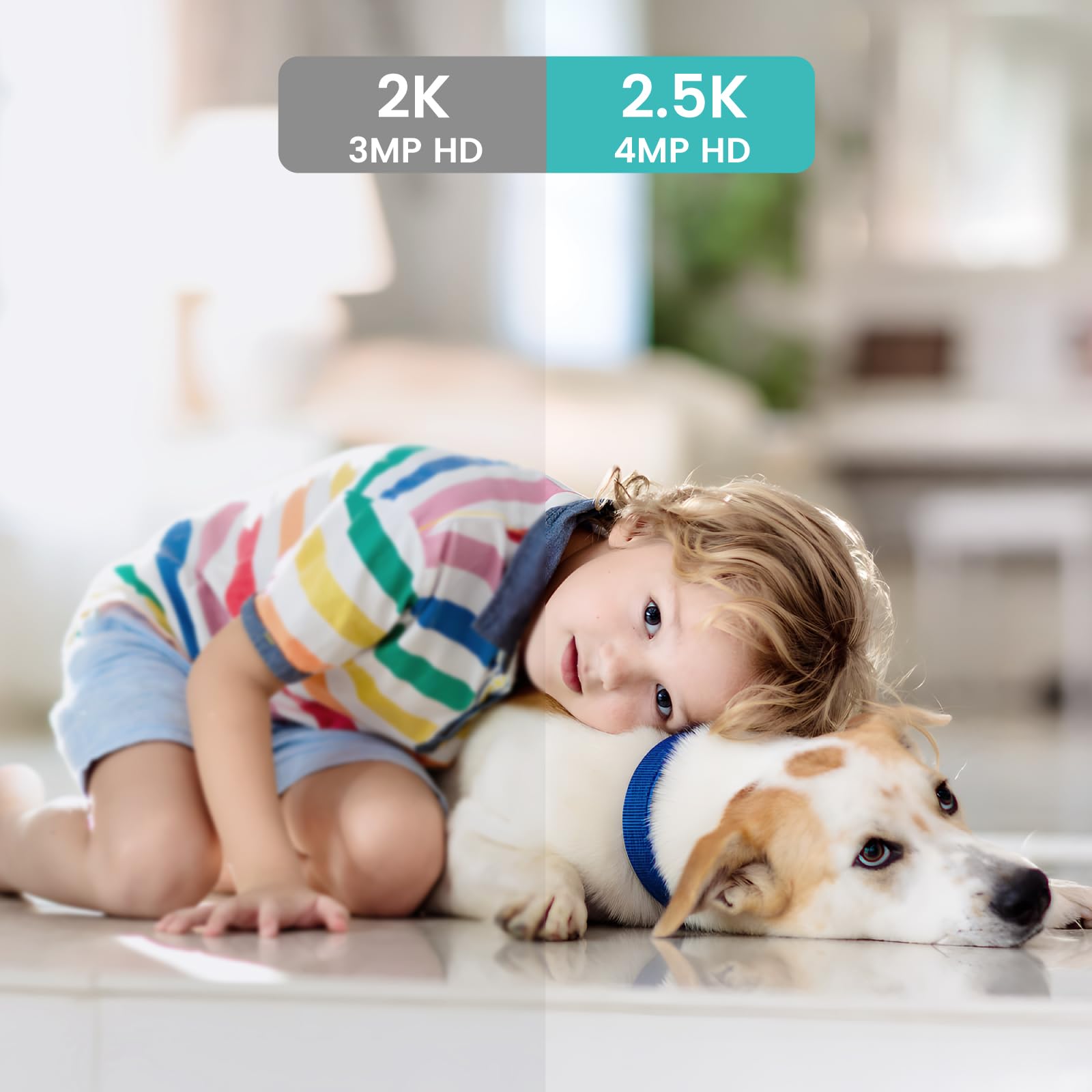 Litokam 2K Indoor Security Camera 2 Pack - WiFi Pet Camera with Night Vision, Motion & Sound Detection for Baby/Elder/Pet Monitoring - Ideal for Home, Nursery & Pet Safety (5GHz/2.4GHz Dual Band)