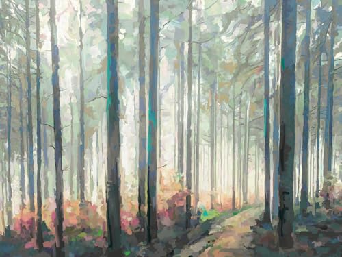 Woodland Journey