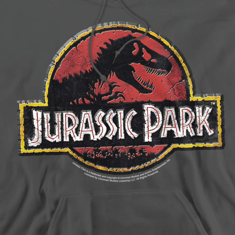 Jurassic Park Men's Stone Logo Hoodie - Small Size, Charcoal Color - Cozy Pullover Sweatshirt for Casual Wear, Movie Fans & Gift Giving