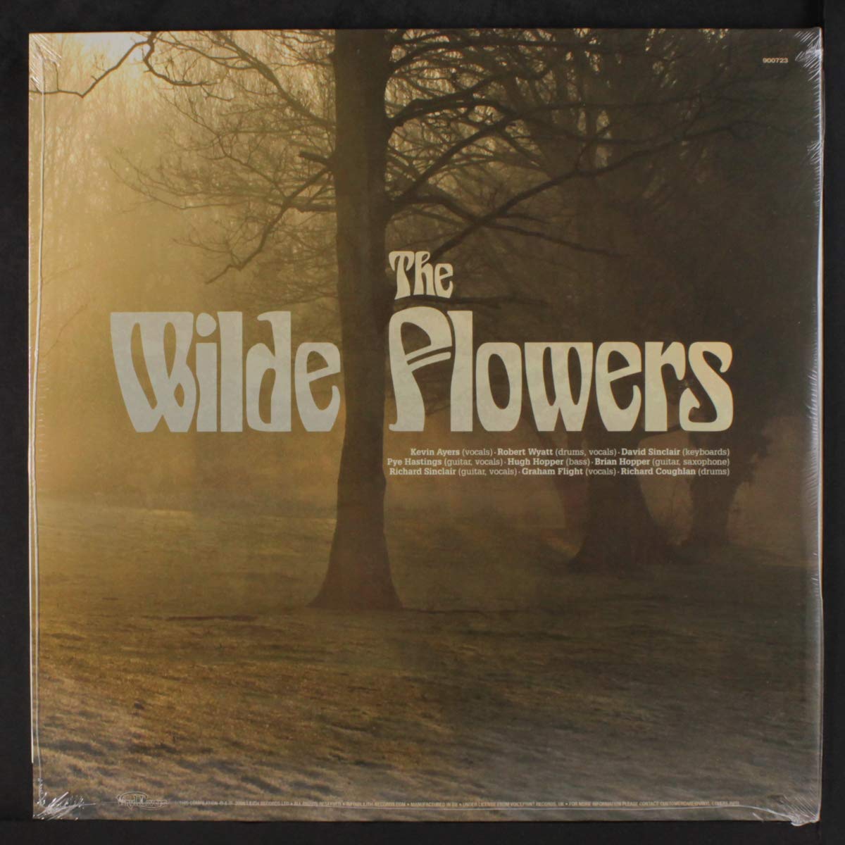 The Wilde Flowers - Premium Artificial Floral Arrangements for Home Decor, Weddings & Events | Durable & Lifelike Silk Flowers for Centerpieces, Bouquets & Gifts